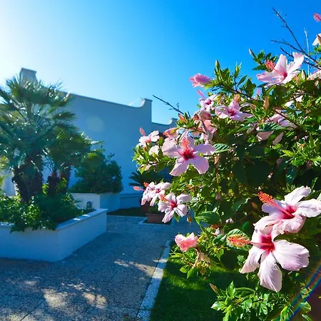 Belen Villa